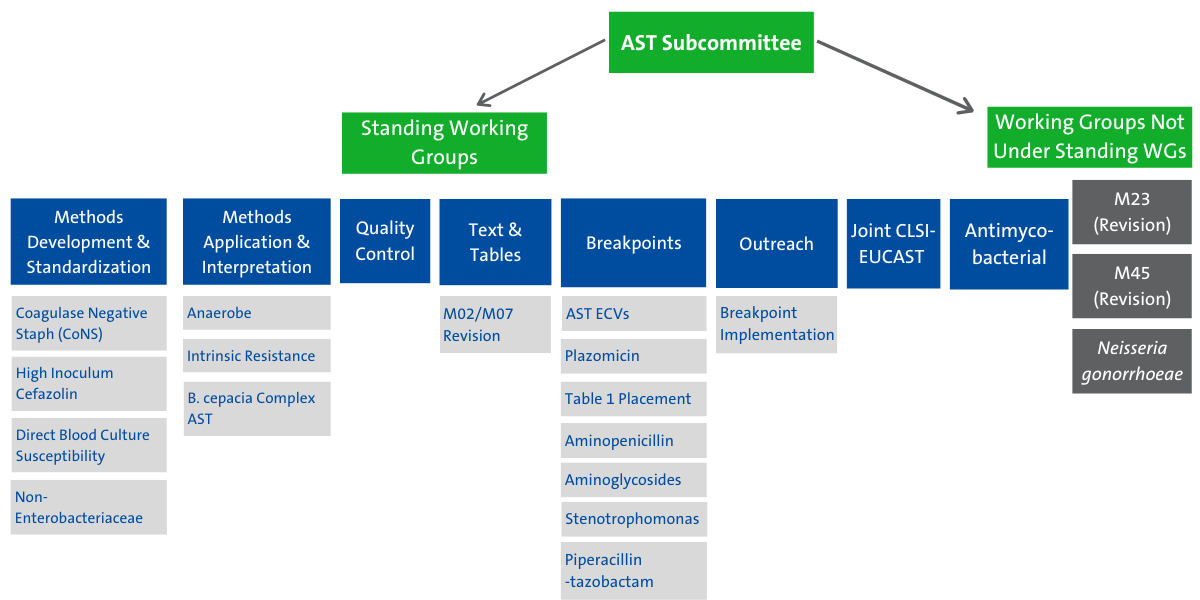AST SC Structure