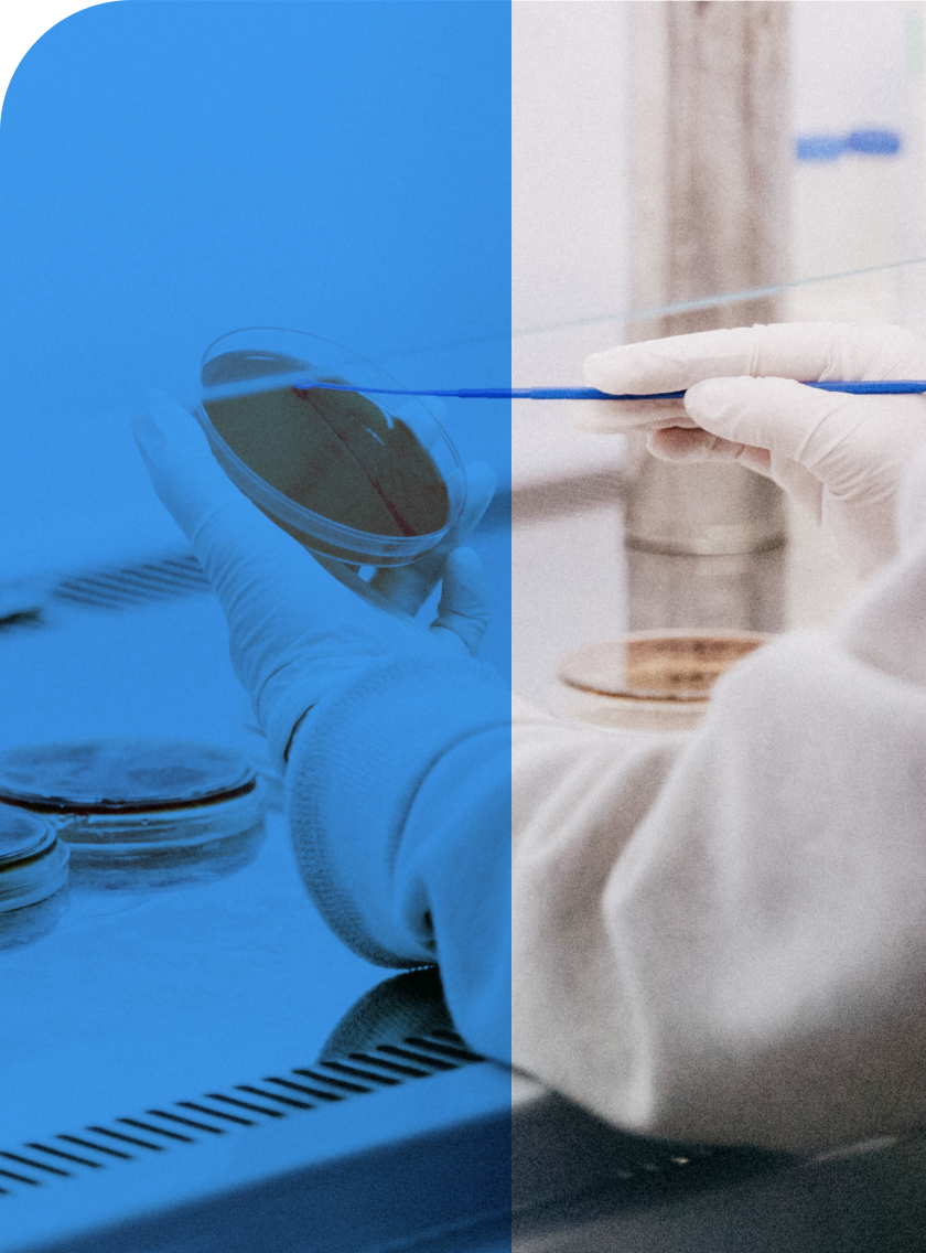 Person Collecting Sample